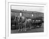 Tetley Shire Horses and Dray, Joshua Tetley Brewery, Leeds, West Yorkshire, 1966-Michael Walters-Framed Photographic Print