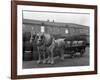 Tetley Shire Horses and Dray, Joshua Tetley Brewery, Leeds, West Yorkshire, 1966-Michael Walters-Framed Photographic Print