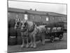 Tetley Shire Horses and Dray, Joshua Tetley Brewery, Leeds, West Yorkshire, 1966-Michael Walters-Mounted Photographic Print