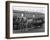 Tetley Shire Horses and Dray, Joshua Tetley Brewery, Leeds, West Yorkshire, 1966-Michael Walters-Framed Photographic Print