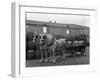 Tetley Shire Horses and Dray, Joshua Tetley Brewery, Leeds, West Yorkshire, 1966-Michael Walters-Framed Photographic Print