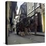 Tetley Shire Horses in the Shambles, York, North Yorkshire, 1969-Michael Walters-Stretched Canvas