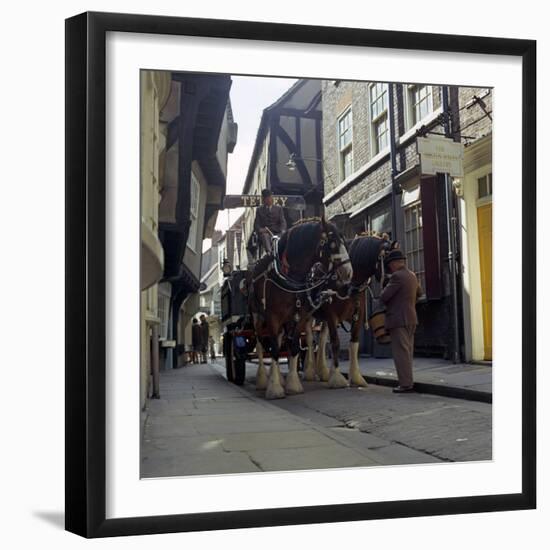 Tetley Shire Horses in the Shambles, York, North Yorkshire, 1969-Michael Walters-Framed Photographic Print