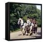 Tetley Shire Horses, Roundhay Park, Leeds, West Yorkshire, 1968-Michael Walters-Framed Stretched Canvas