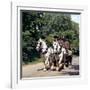 Tetley Shire Horses, Roundhay Park, Leeds, West Yorkshire, 1968-Michael Walters-Framed Photographic Print