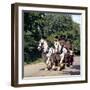 Tetley Shire Horses, Roundhay Park, Leeds, West Yorkshire, 1968-Michael Walters-Framed Photographic Print