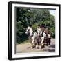 Tetley Shire Horses, Roundhay Park, Leeds, West Yorkshire, 1968-Michael Walters-Framed Photographic Print