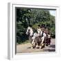 Tetley Shire Horses, Roundhay Park, Leeds, West Yorkshire, 1968-Michael Walters-Framed Photographic Print