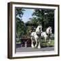 Tetley Shire Horses, Roundhay Park, Leeds, West Yorkshire, 1968-Michael Walters-Framed Photographic Print