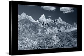 Teton 3 W/Border-Gordon Semmens-Stretched Canvas