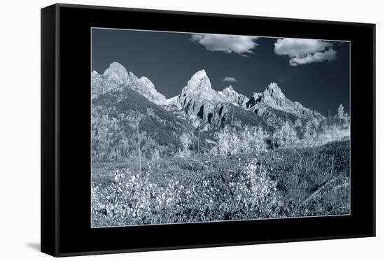 Teton 3 W/Border-Gordon Semmens-Framed Stretched Canvas