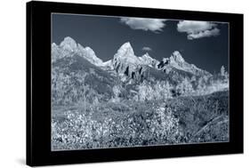 Teton 3 W/Border-Gordon Semmens-Stretched Canvas