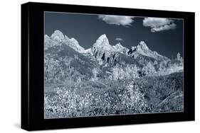 Teton 3 W/Border-Gordon Semmens-Stretched Canvas