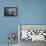 Teton 4-Gordon Semmens-Framed Stretched Canvas displayed on a wall