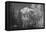 Teton 4-Gordon Semmens-Framed Stretched Canvas