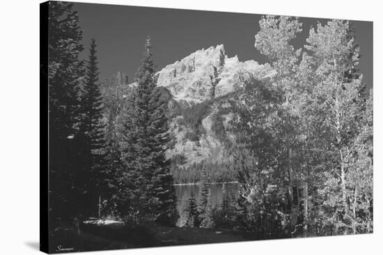 Teton 4-Gordon Semmens-Stretched Canvas