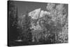 Teton 4-Gordon Semmens-Stretched Canvas