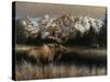 Teton Majesty-Kevin Daniel-Stretched Canvas