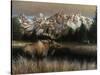 Teton Majesty-Kevin Daniel-Stretched Canvas