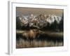 Teton Majesty-Kevin Daniel-Framed Art Print