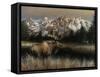 Teton Majesty-Kevin Daniel-Framed Stretched Canvas