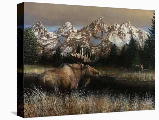 Teton Majesty-Kevin Daniel-Stretched Canvas