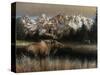 Teton Majesty-Kevin Daniel-Stretched Canvas