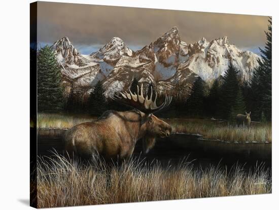 Teton Majesty-Kevin Daniel-Stretched Canvas