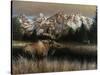 Teton Majesty-Kevin Daniel-Stretched Canvas