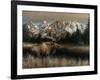 Teton Majesty-Kevin Daniel-Framed Art Print