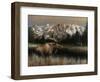 Teton Majesty-Kevin Daniel-Framed Art Print