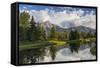 Teton Mountains in Schwabacher Landing, Snake River, Grand Teton National Park, Wyoming, USA-Chuck Haney-Framed Stretched Canvas