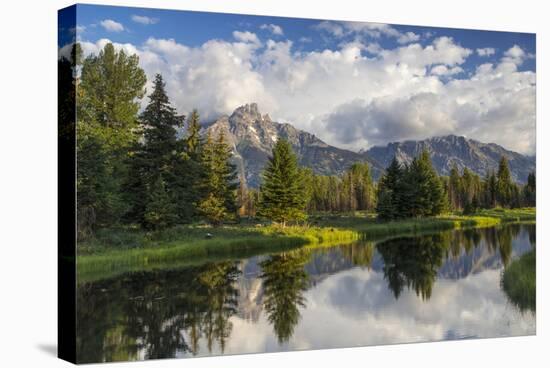 Teton Mountains in Schwabacher Landing, Snake River, Grand Teton National Park, Wyoming, USA-Chuck Haney-Stretched Canvas