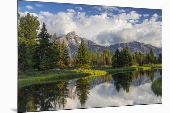 Teton Mountains in Schwabacher Landing, Snake River, Grand Teton National Park, Wyoming, USA-Chuck Haney-Mounted Premium Photographic Print