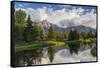 Teton Mountains in Schwabacher Landing, Snake River, Grand Teton National Park, Wyoming, USA-Chuck Haney-Framed Stretched Canvas