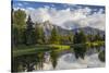 Teton Mountains in Schwabacher Landing, Snake River, Grand Teton National Park, Wyoming, USA-Chuck Haney-Stretched Canvas