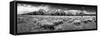 Teton Panorama-Dean Fikar-Framed Stretched Canvas