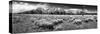 Teton Panorama-Dean Fikar-Stretched Canvas