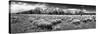 Teton Panorama-Dean Fikar-Stretched Canvas