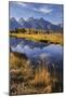 Teton Range from Schwabacher Landing, Grand Teton National Park, Wyoming-Adam Jones-Mounted Photographic Print