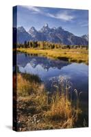 Teton Range from Schwabacher Landing, Grand Teton National Park, Wyoming-Adam Jones-Stretched Canvas
