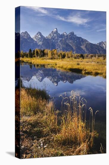 Teton Range from Schwabacher Landing, Grand Teton National Park, Wyoming-Adam Jones-Stretched Canvas