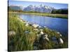 Teton Range from the Snake River, Grand Teton National Park, Wyoming, USA-Charles Gurche-Stretched Canvas