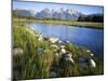 Teton Range from the Snake River, Grand Teton National Park, Wyoming, USA-Charles Gurche-Mounted Premium Photographic Print