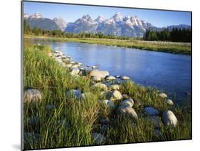 Teton Range from the Snake River, Grand Teton National Park, Wyoming, USA-Charles Gurche-Mounted Premium Photographic Print