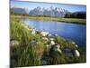 Teton Range from the Snake River, Grand Teton National Park, Wyoming, USA-Charles Gurche-Mounted Photographic Print