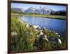 Teton Range from the Snake River, Grand Teton National Park, Wyoming, USA-Charles Gurche-Framed Photographic Print