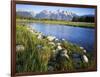 Teton Range from the Snake River, Grand Teton National Park, Wyoming, USA-Charles Gurche-Framed Photographic Print