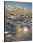 Teton Range in Winter, Grand Teton National Park, Wyoming, United States of America, North America-James Hager-Stretched Canvas