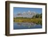 Teton Range reflected in still waters of the Snake River at Schwabacher Landing, Grand Teton NP, WY-Alan Majchrowicz-Framed Photographic Print